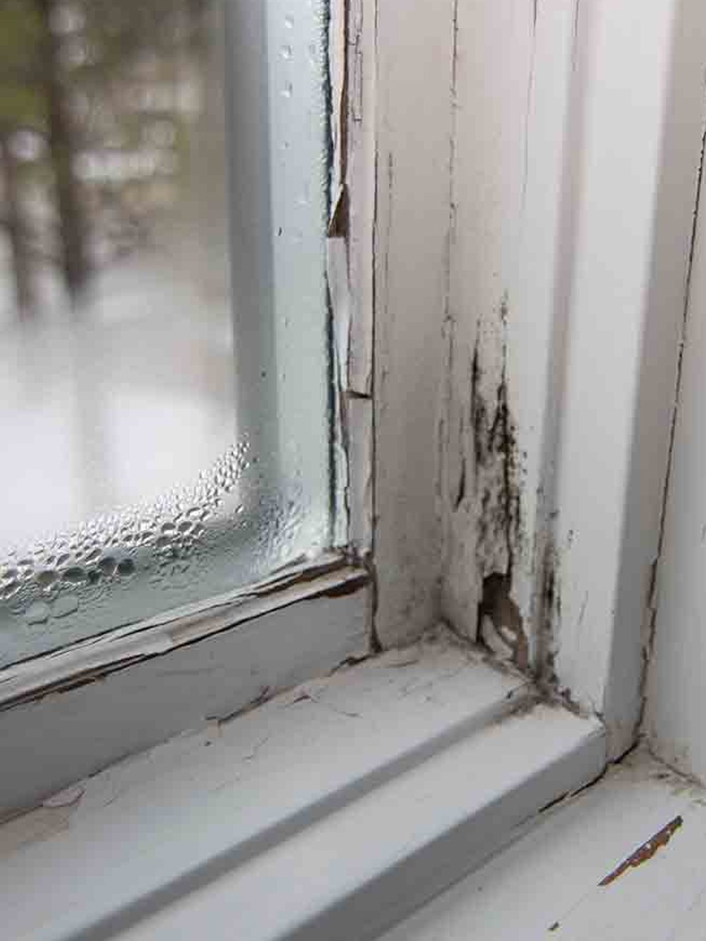 Home Air Quality Testing - Window Condensation